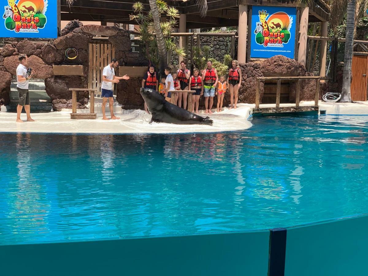 קוסטה דה אנטיגואה Fuerteventura Resort Bouganville מראה חיצוני תמונה